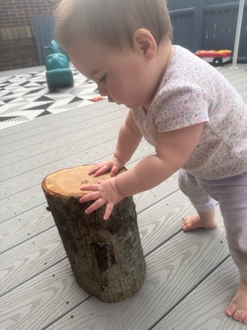 A baby pulling up to stand on a small tree stump