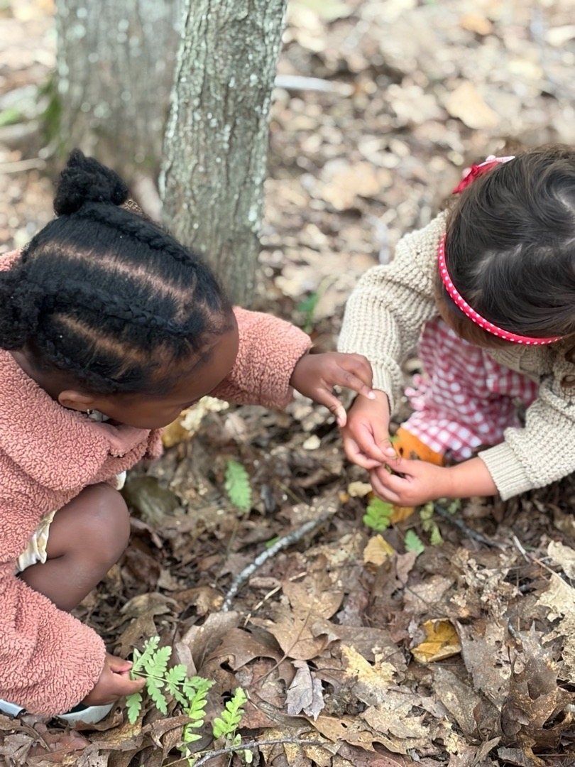 Two kids examining a fern among fallen leaves